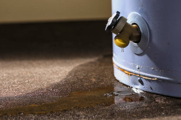 Best Water damage restoration near me  in Arial, SC