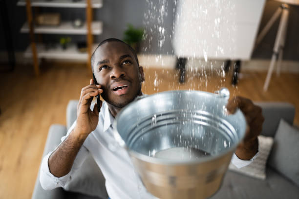 Best Basement water damage restoration  in Arial, SC