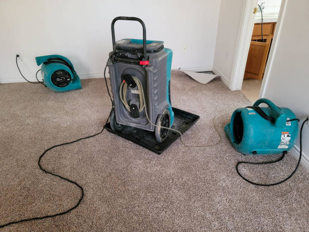 Best Flood damage cleanup  in Arial, SC