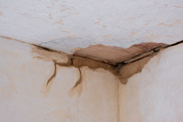 Best Water damage contractors near me  in Arial, SC