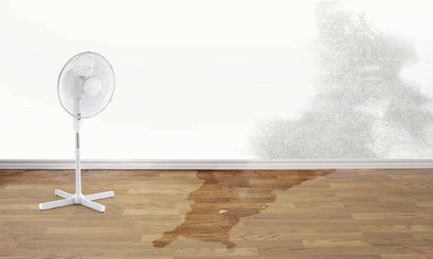 Best 24-hour water damage restoration  in Arial, SC
