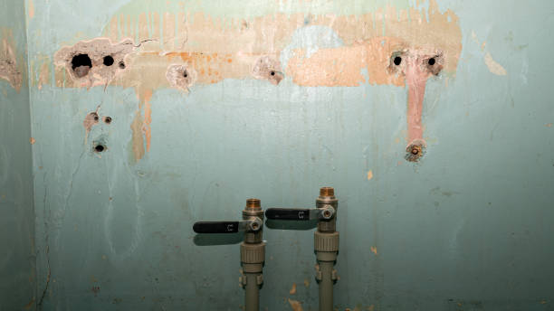 Best Water damage cleanup near me  in Arial, SC