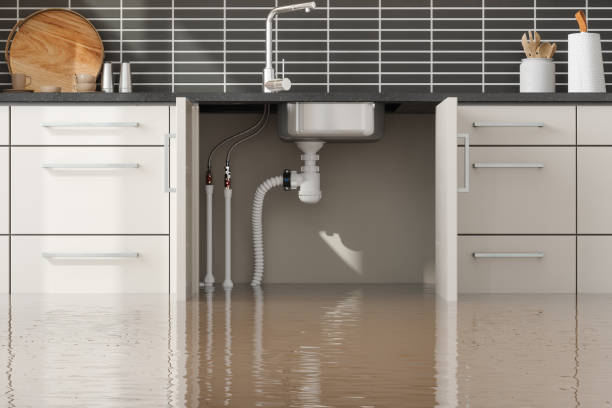 Best Mold removal after water damage  in Arial, SC