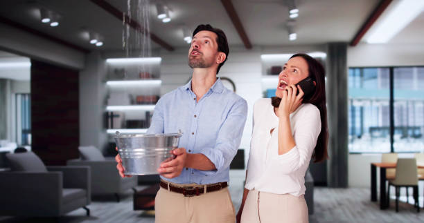 Best Local water damage restoration  in Arial, SC